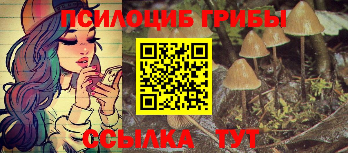 Псилоцибиновые грибы мицелий Лабинск