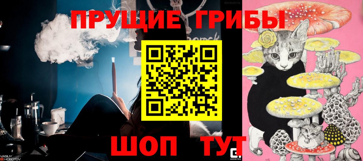 APVP Лабинск