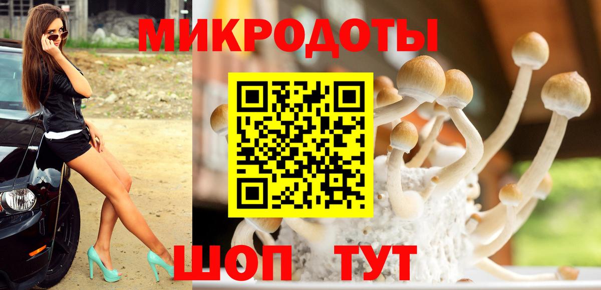 Псилоцибиновые грибы GOLDEN TEACHER  Вход с VPN  Лабинск  Псилоцибиновые грибы ЛСД 